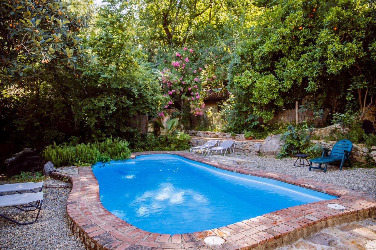 Casa Rural La Casa Del Bosque Navaconcejo Bagian luar foto